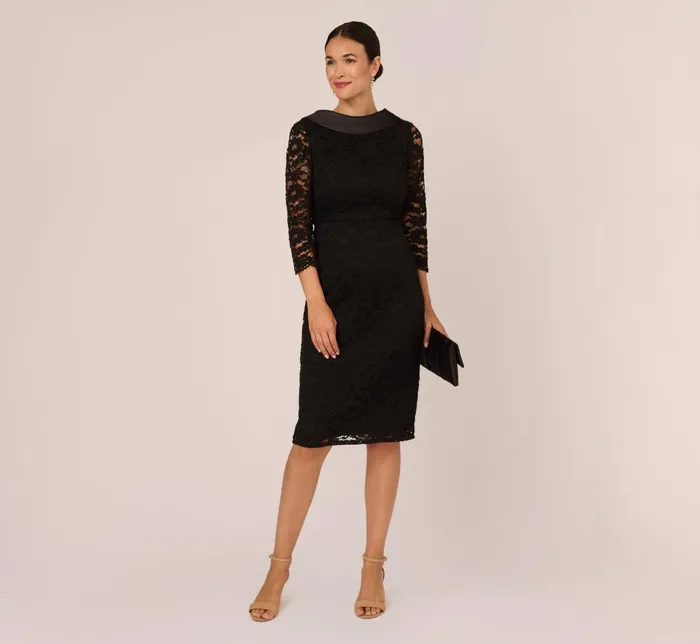 Adrianna Papell Day Dresses Roll Neck Lace Dress With Sheer Elbow Sleeves In Black 8211 Women