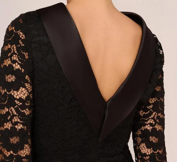 Adrianna Papell Day Dresses Roll Neck Lace Dress With Sheer Elbow Sleeves In Black 8211 Women