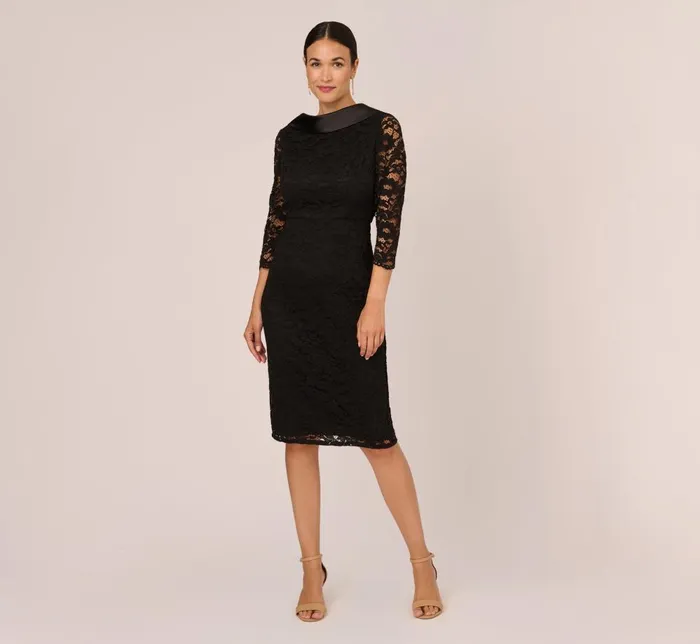 Adrianna Papell Day Dresses Roll Neck Lace Dress With Sheer Elbow Sleeves In Black 8211 Women