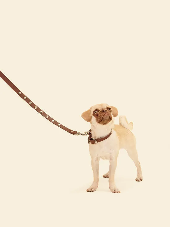 Pet Lisa Says Gah Women Dog Stud Leash Brown