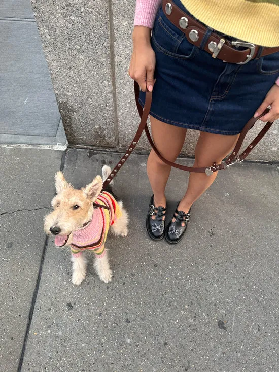 Pet Lisa Says Gah Women Dog Stud Leash Brown