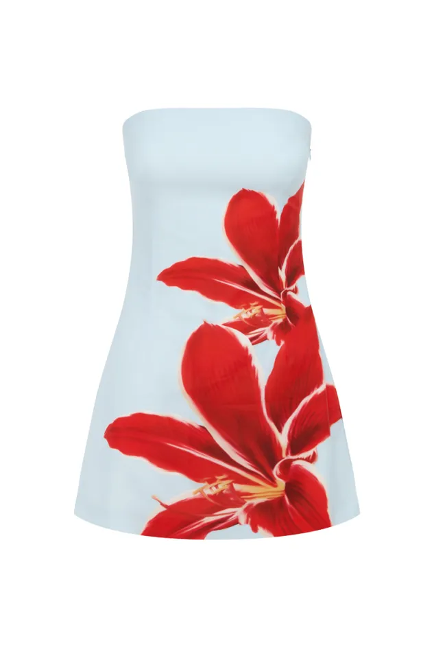 Runaway The Label Mini Shop PRIMROSE MINI DRESS 8211 RED LILY