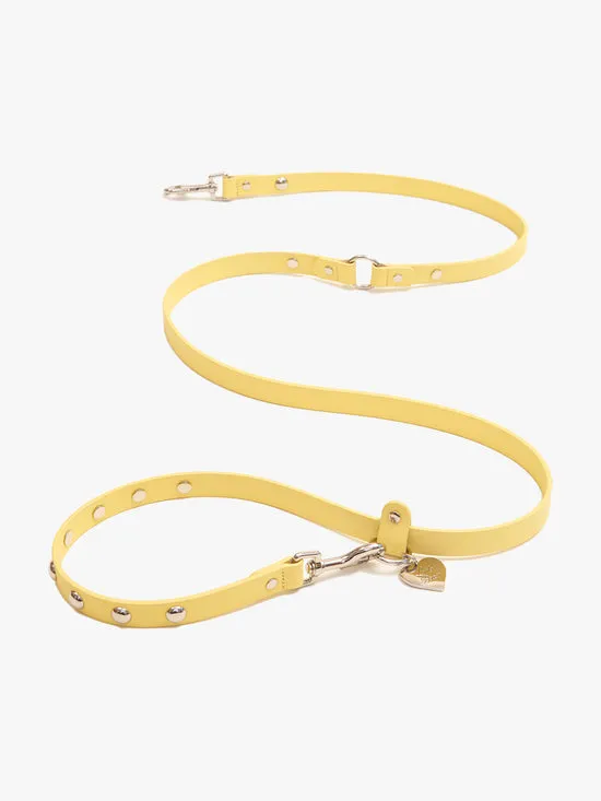 Women Dog Stud Leash Butter Pet Lisa Says Gah