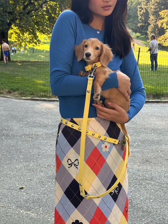Women Dog Stud Leash Butter Pet Lisa Says Gah