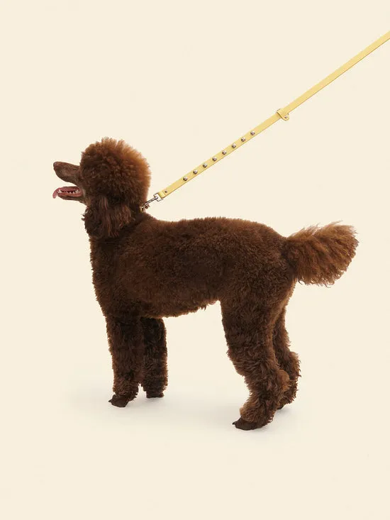 Women Dog Stud Leash Butter Pet Lisa Says Gah