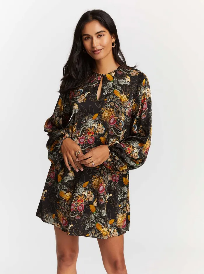 Women Dresses Robert Graham GISELLE DRESS Multi